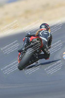 media/May-13-2023-SoCal Trackdays (Sat) [[8a473a8fd1]]/Turn 11 Backside (945am)/